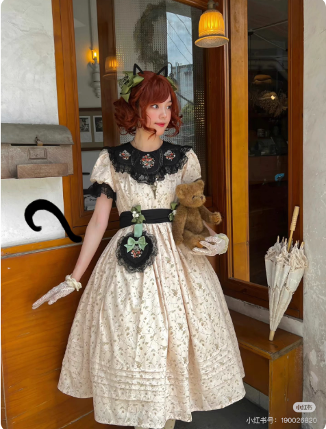 Vintage Garden Lolita Dress - Embroidered Floral Collar OP in Soft Green